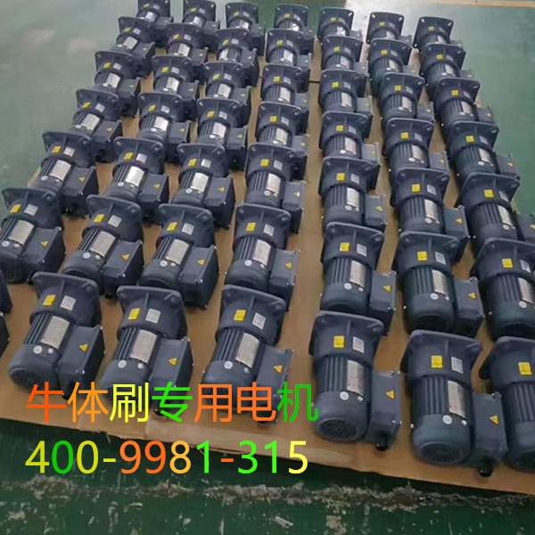 牛體刷專(zhuān)用電機(jī)