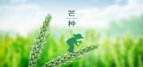 邁傳減速機(jī)