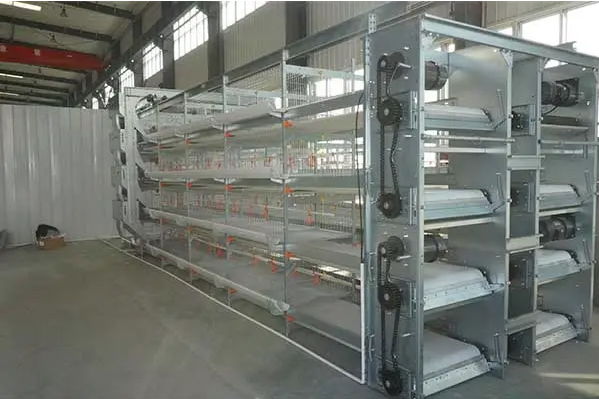 自動清糞養(yǎng)雞設(shè)備上使用士元小型立式齒輪減速電機.png