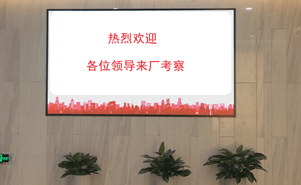 歡迎日本企業(yè)代表就合作項目來我司展開深度交流
